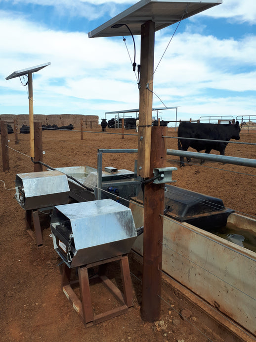 Cattle R & D Site, Kapunda